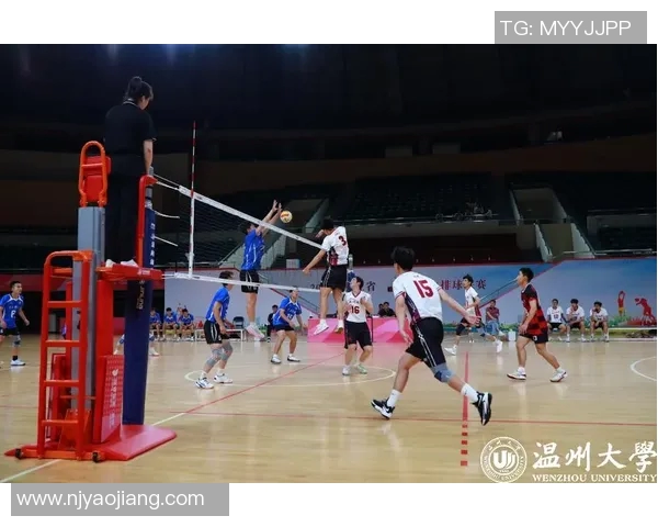 杭州排球队在冠军赛中的技术亮点与不足分析