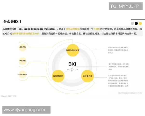 深圳羽毛球队进攻策略深度解析与技术创新探讨